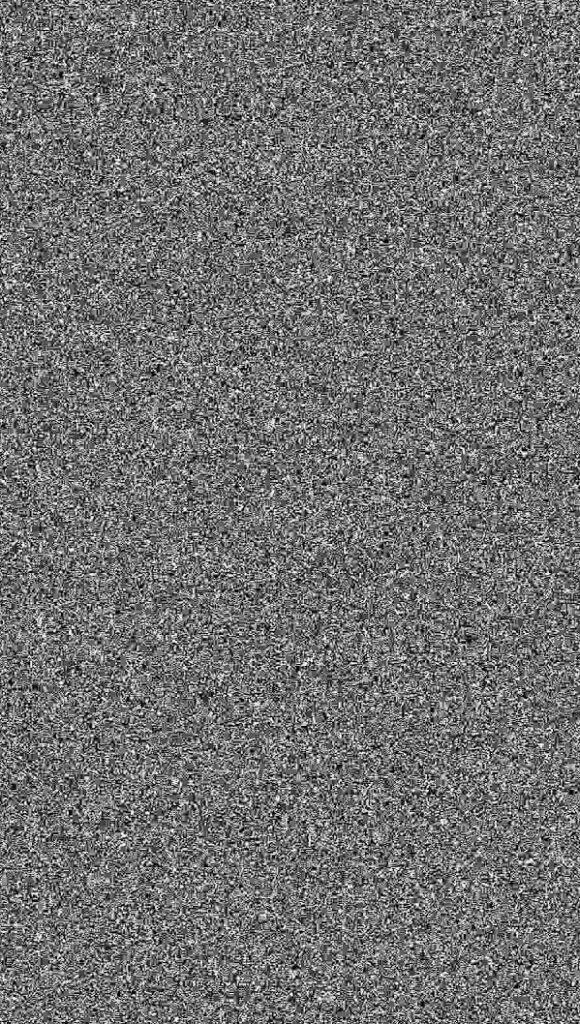 randomised black and white pixels, or white noise, normally found on untuned analogue televisions, or in the film Poltergeist.