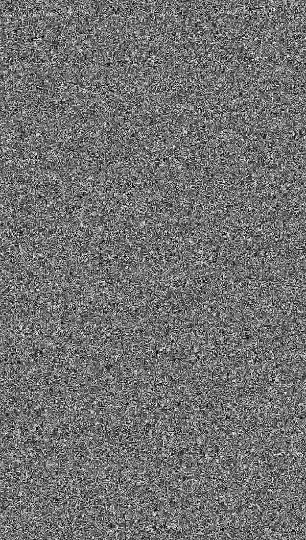 randomised black and white pixels, or white noise, normally found on untuned analogue televisions, or in the film Poltergeist.